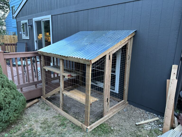 Handyman Services cat run