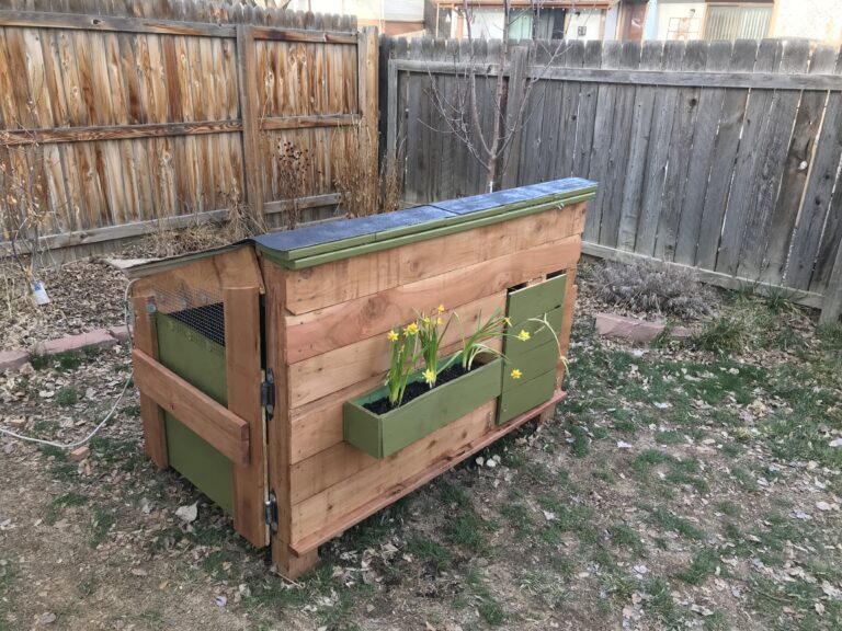 Handyman Services chicken coop